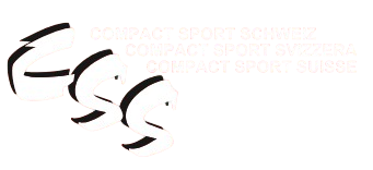 CSS Logo